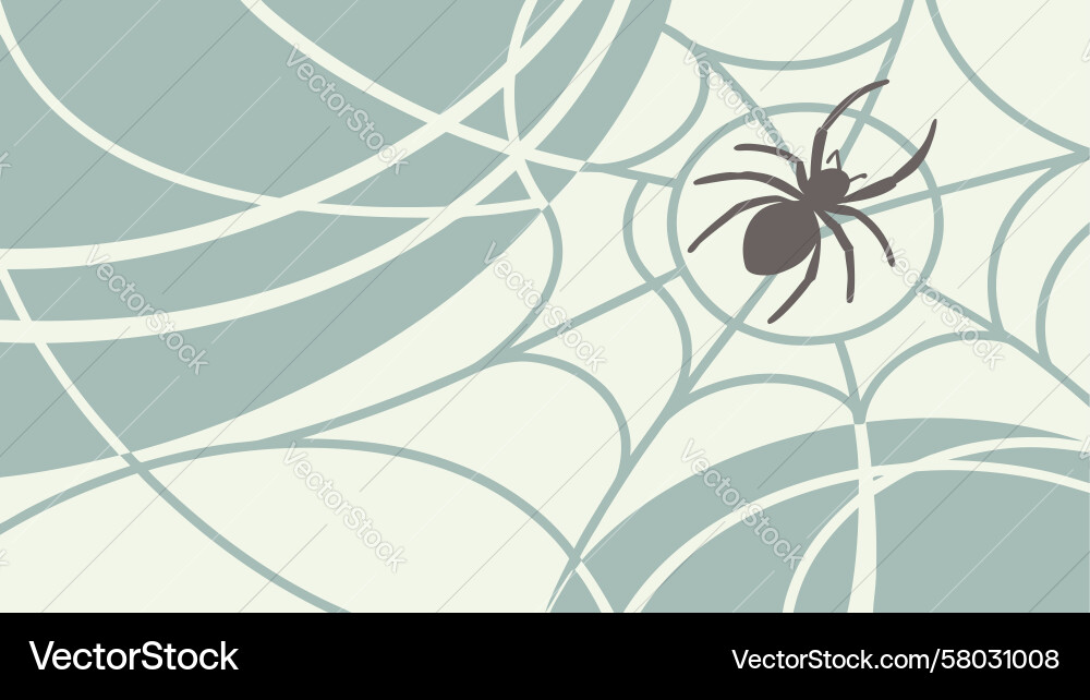 Delicate Spiderweb Pattern Vector Image