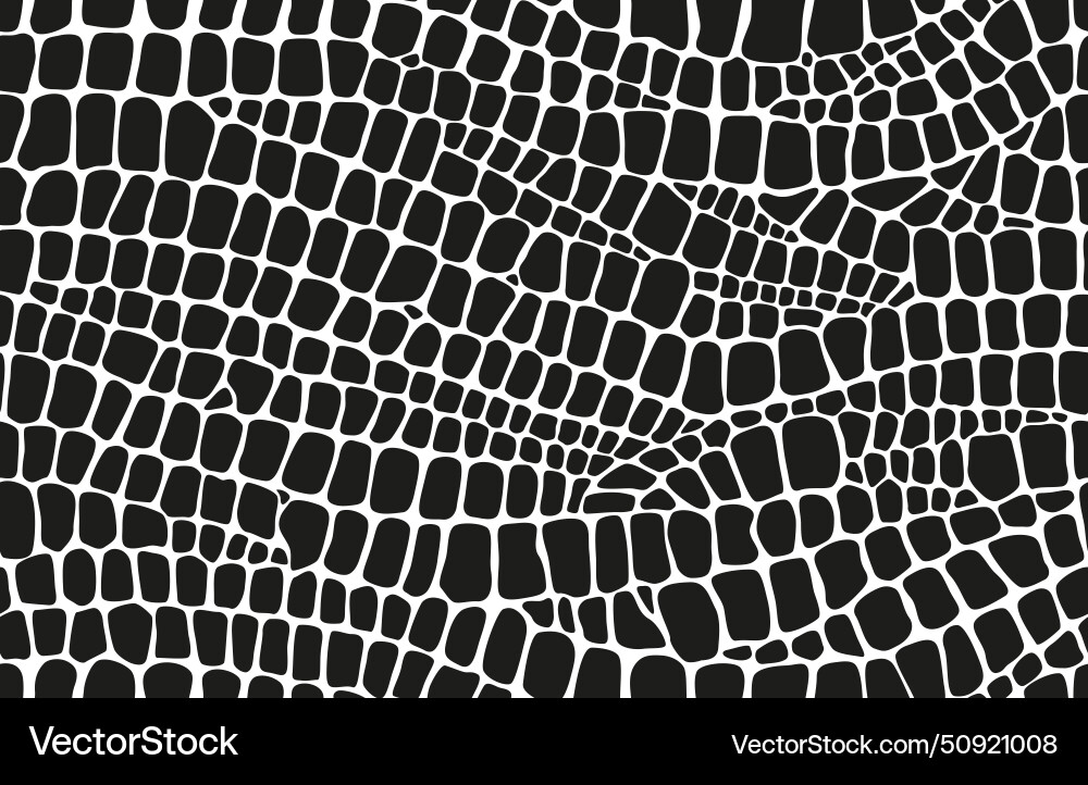 Scales & Texture - Reptile Pattern vector image