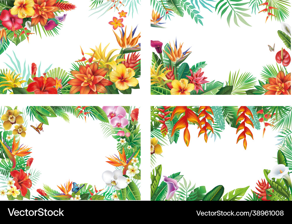 Tropical Floral Frames & Plants Vector Image