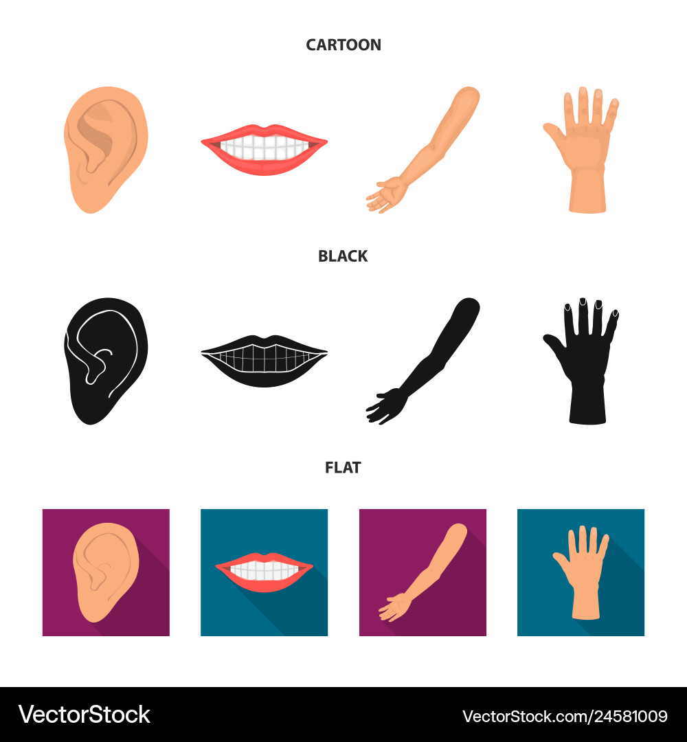 Design of body and part symbol collection Design of body and part symbol collection vector image