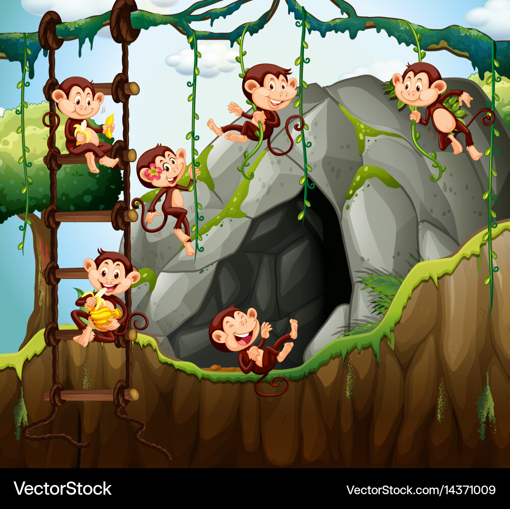 Scene with monkeys playing in the cave Vector Image