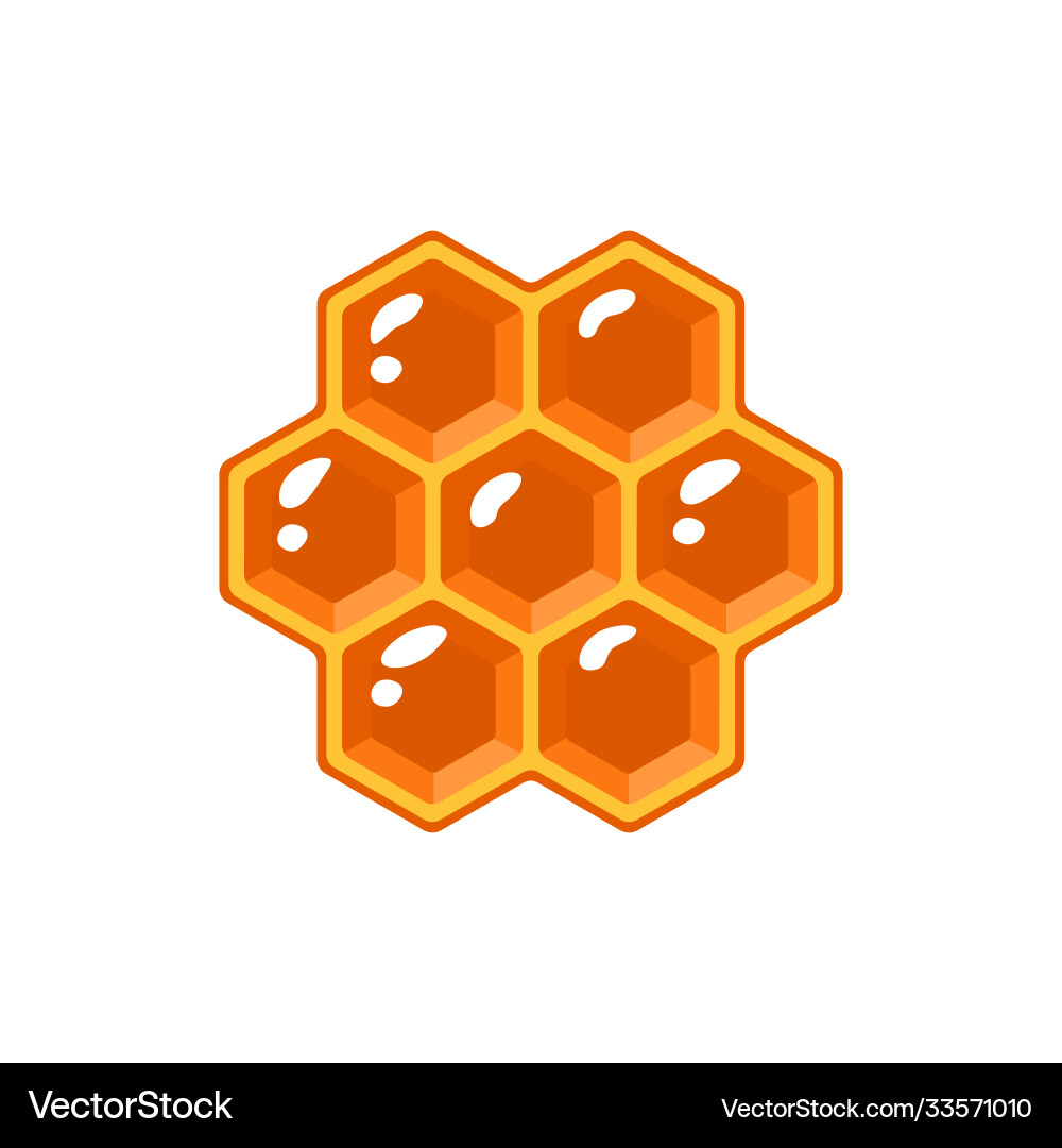 Honeycomb Pattern Isolated on White vector image
