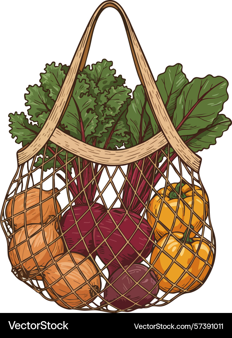 Fresh vegetables in reusable net bag with beets Fresh vegetables in reusable net bag with beets vector image
