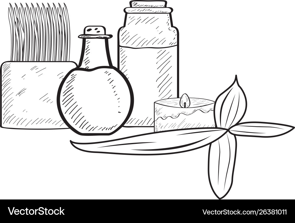 Sketch spa objects vector image