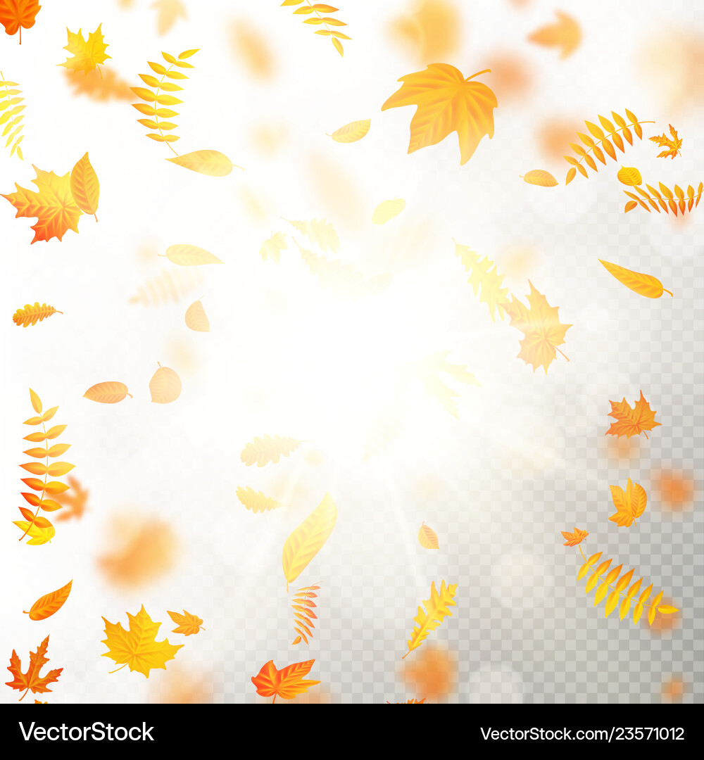 Effect of autumn falling leaves layer with shallow Effect of autumn falling leaves layer with shallow vector image