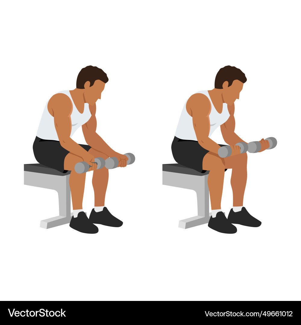 Man doing seated dumbbell palm up wrist curls Man doing seated dumbbell palm up wrist curls Vector Image