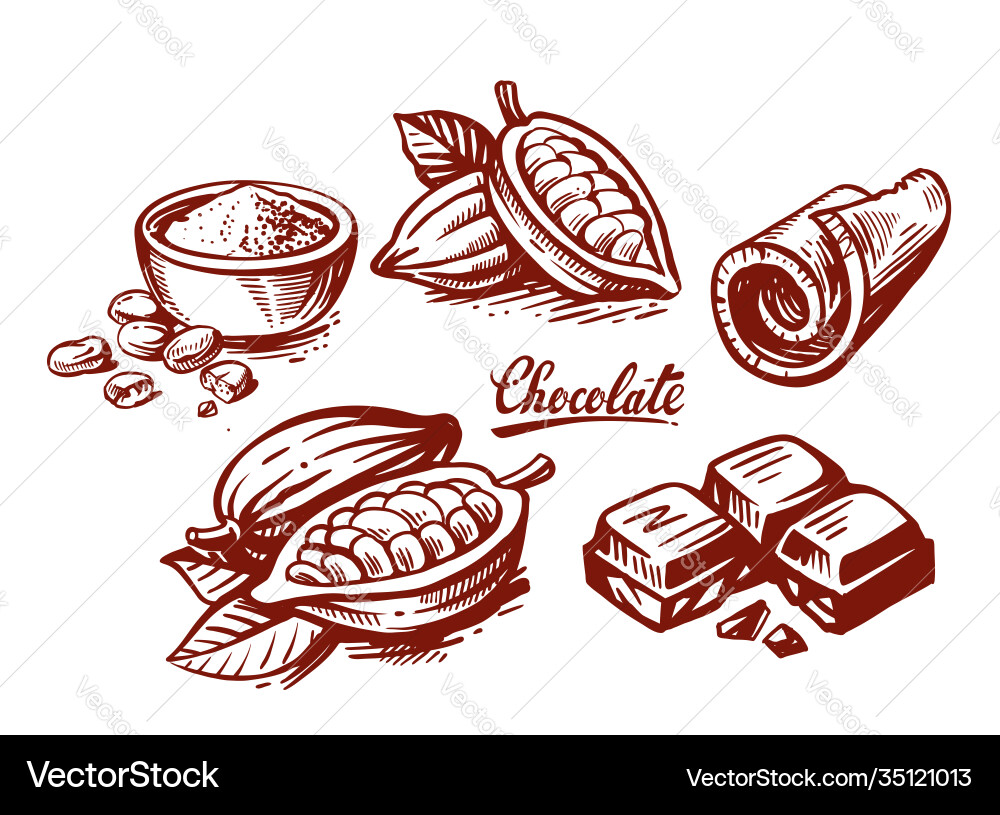 Chocolate and Cocoa Sketch Set vector image
