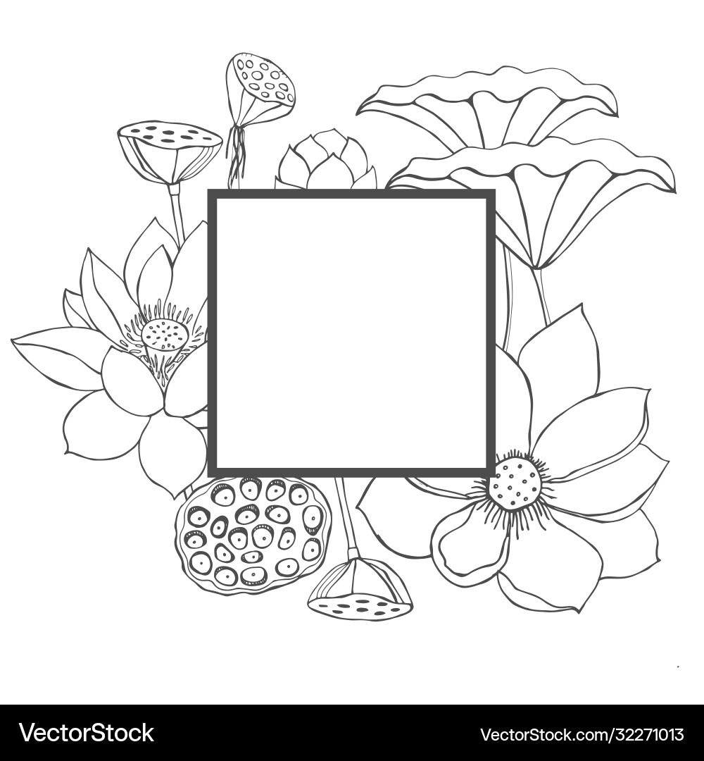 Frame with hand drawn lotus flowers and leaves Frame with hand drawn lotus flowers and leaves Vector Image