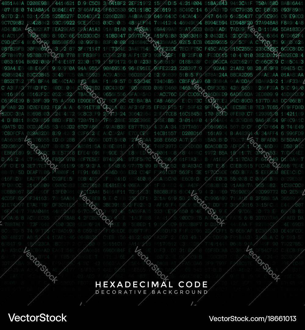 Hexadecimal Code Background vector image