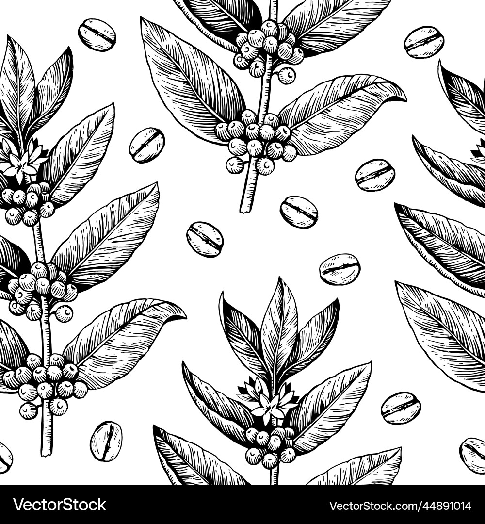 Coffee Branch & Bean Pattern vector image