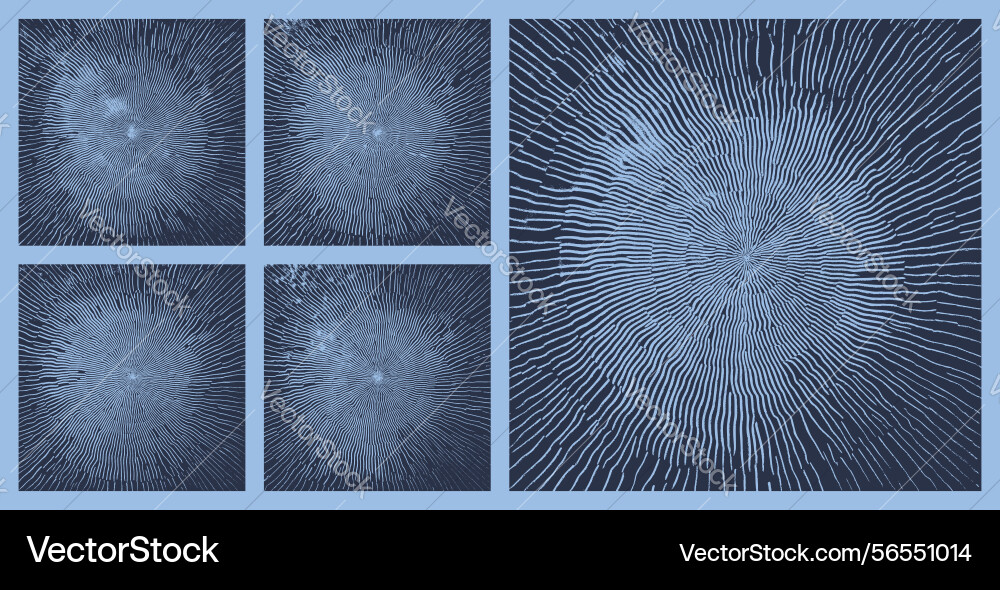 Hand drawn radial ragged lines assorted textures Hand drawn radial ragged lines assorted textures vector image