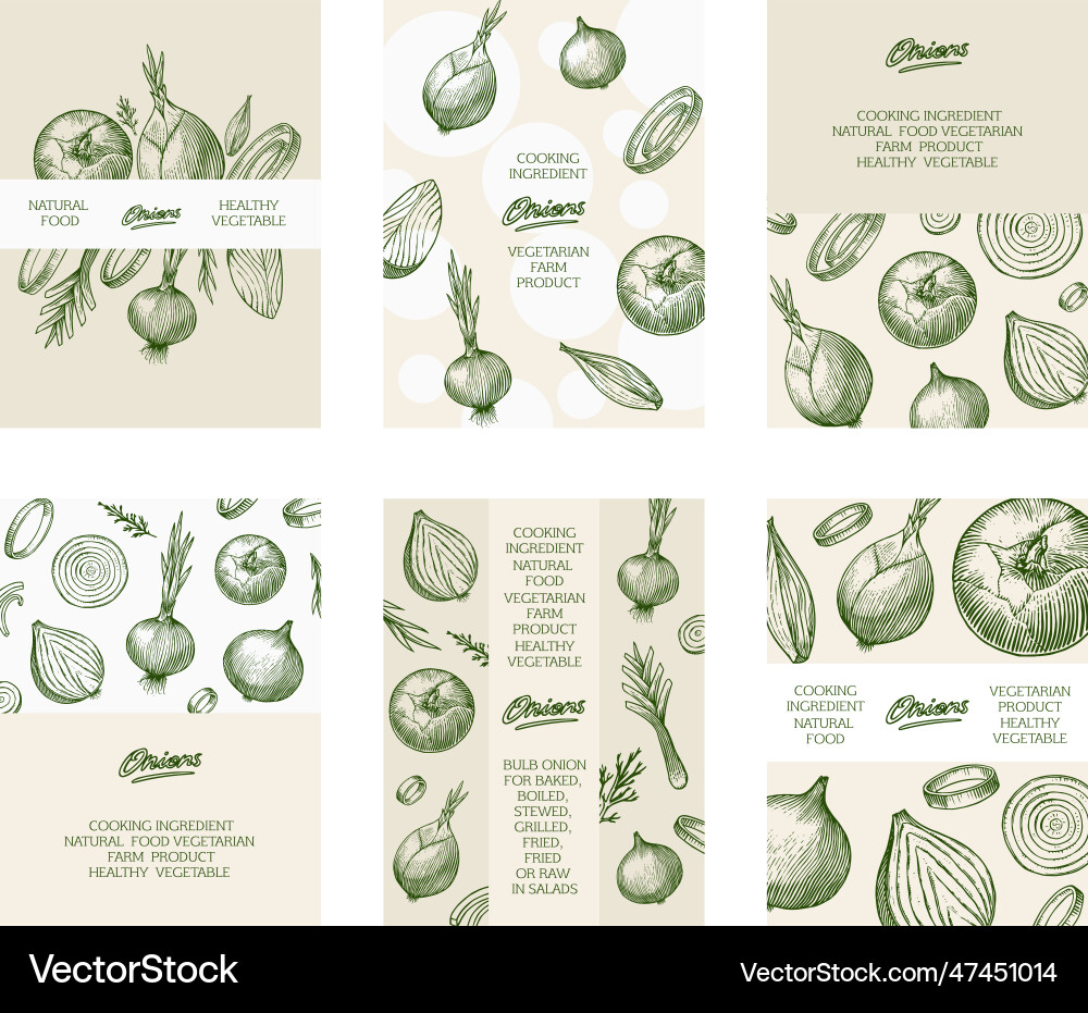 Onion bulb poster or banner half cutout slice Onion bulb poster or banner half cutout slice vector image