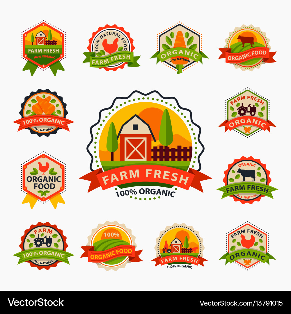 Flat style of bio organic eco healthy food label Flat style of bio organic eco healthy food label vector image