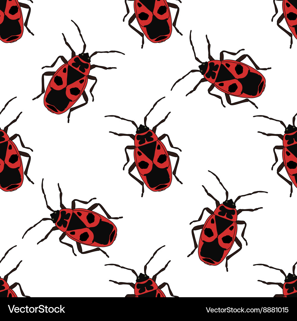 Seamless pattern with bug-soldier or firebug Vector Image