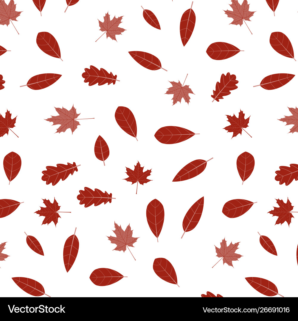 Autumn pattern background Vector Image