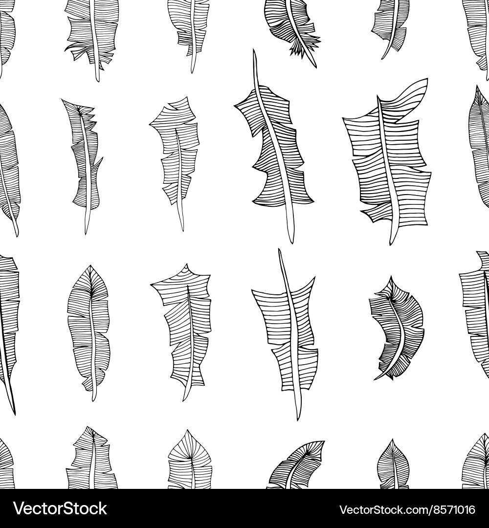 Feathers pattern background vector image