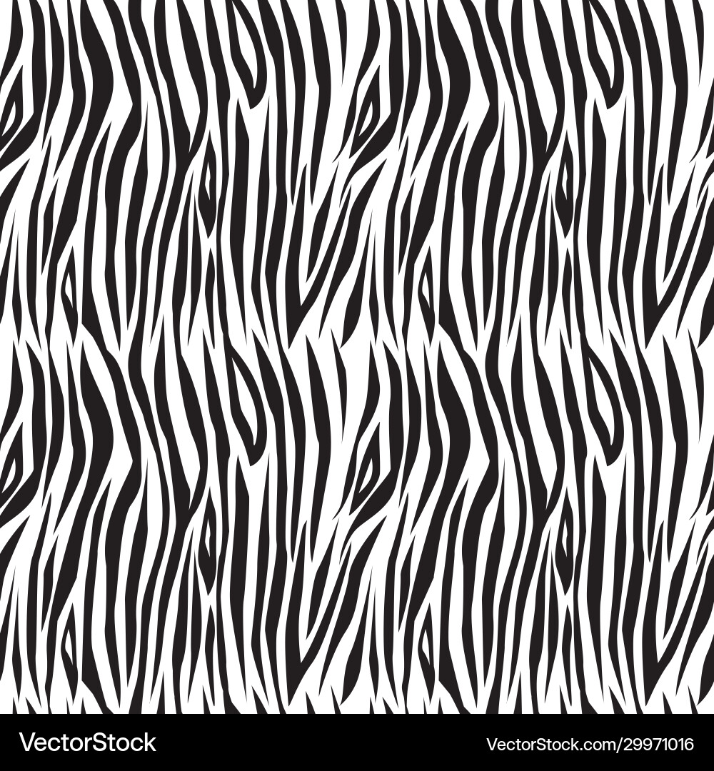 Zebra stripe pattern Zebra stripe pattern vector image