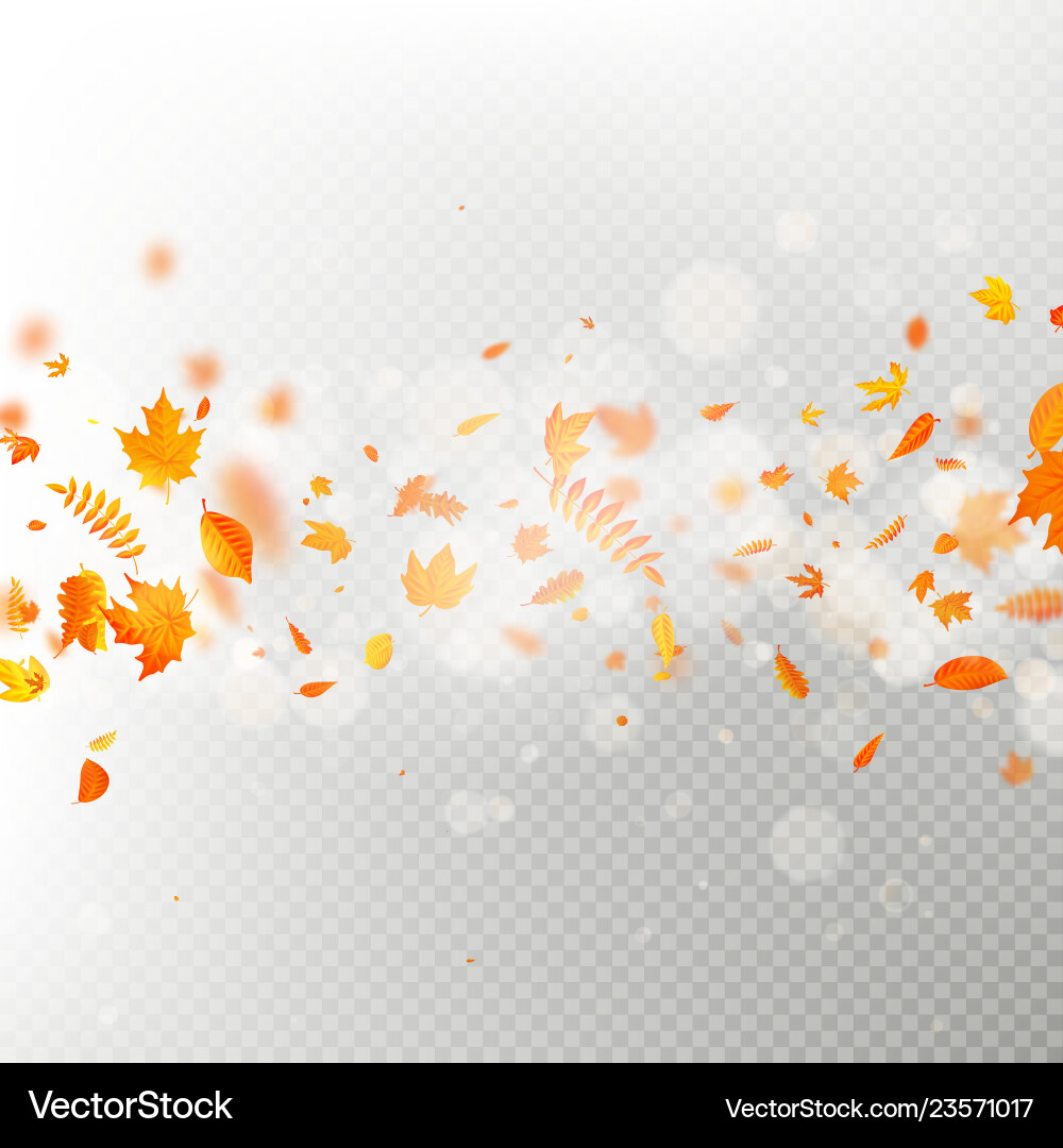 Effect of autumn falling leaves layer with shallow Effect of autumn falling leaves layer with shallow vector image