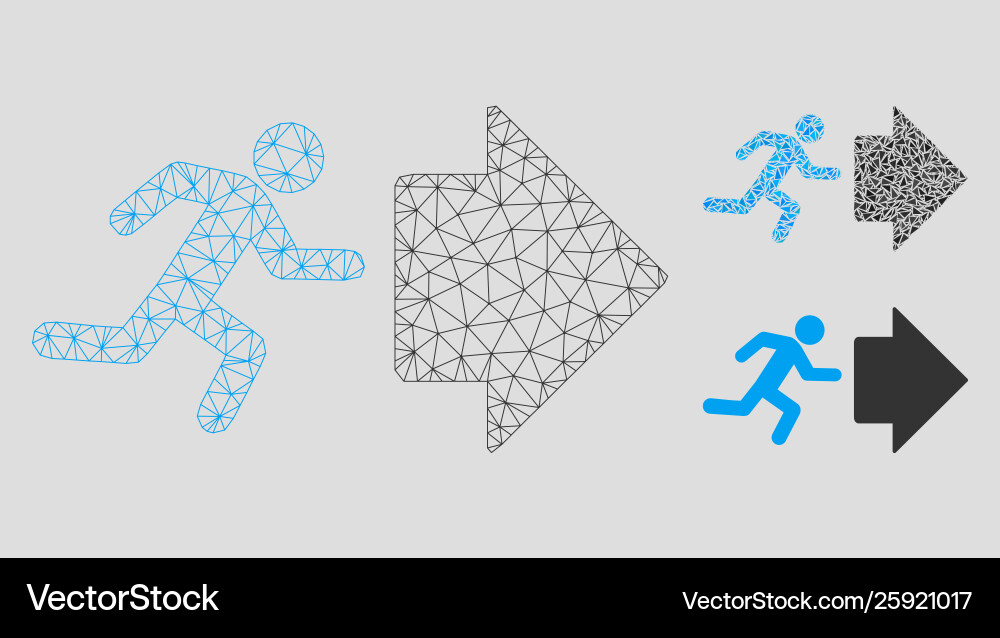 Exit direction mesh carcass model Exit direction mesh carcass model vector image
