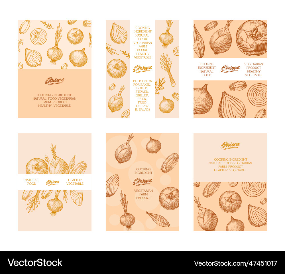 Onion bulb poster or banner half cutout slice Onion bulb poster or banner half cutout slice vector image