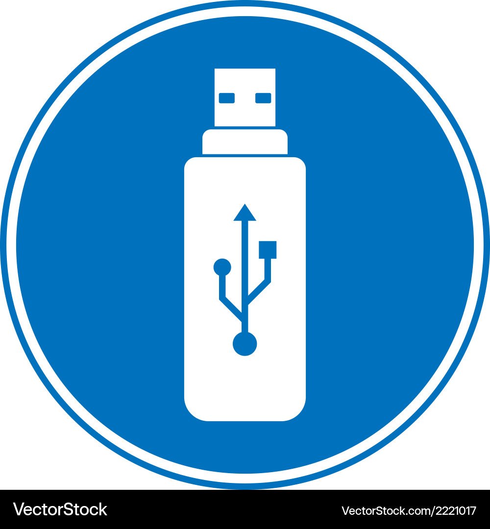 Usb flash button Vector Image