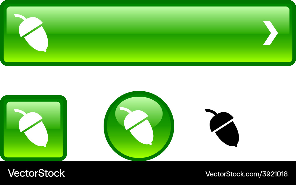 Acorn button set Vector Image
