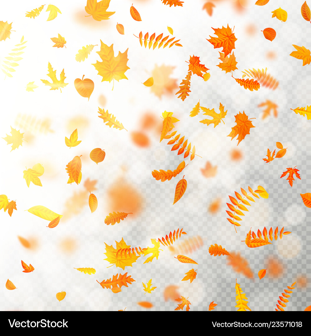 Effect of autumn falling leaves layer with shallow Effect of autumn falling leaves layer with shallow vector image