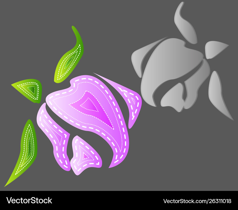 Roses elements design with effect Vector Image