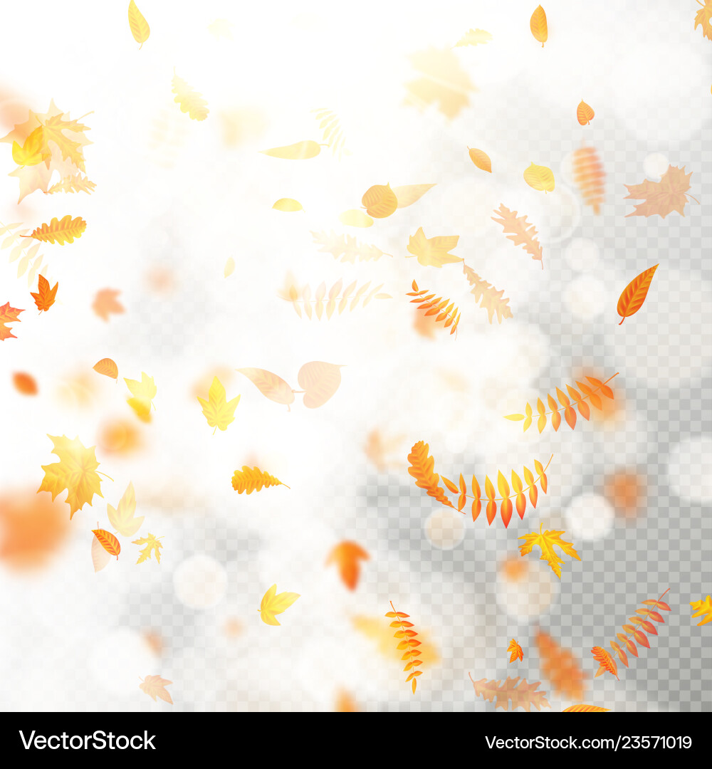 Effect of autumn falling leaves layer with shallow Effect of autumn falling leaves layer with shallow vector image