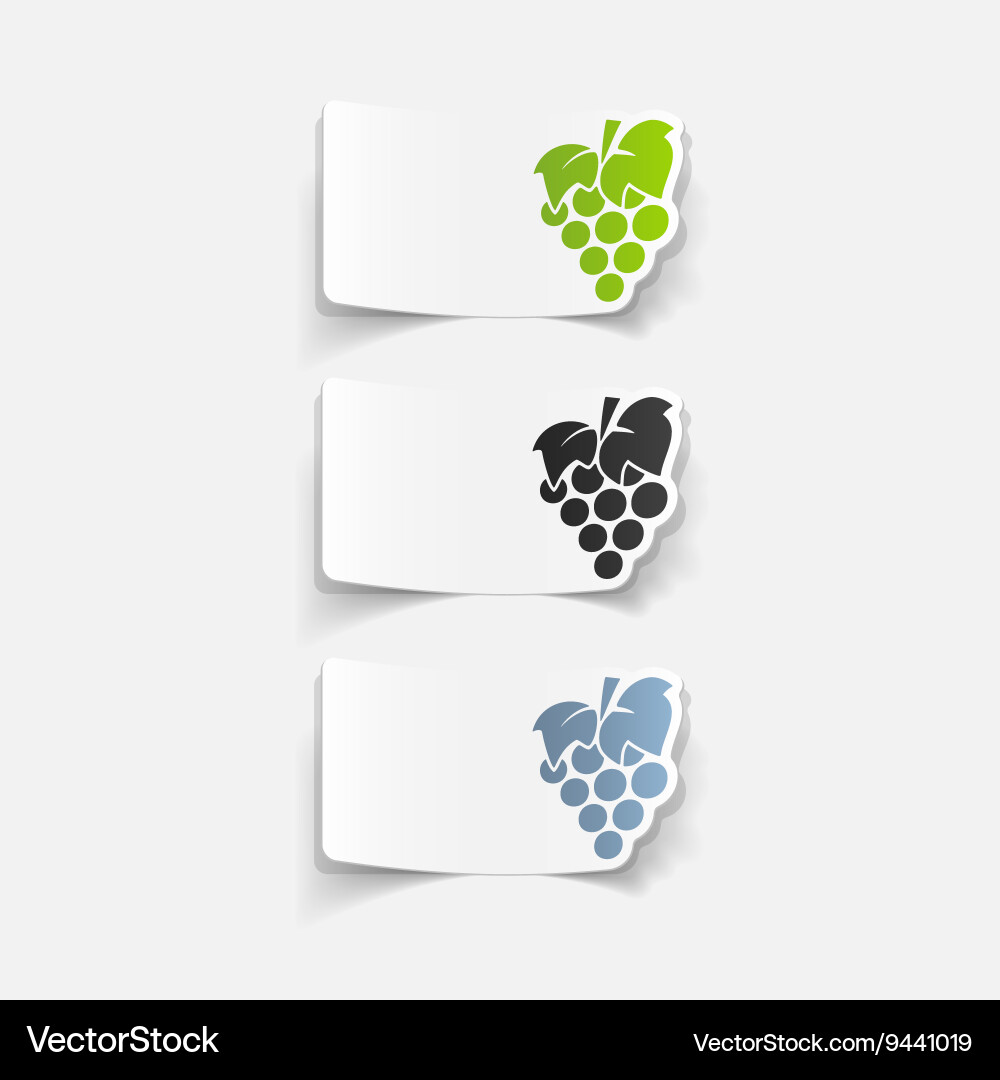 Realistic design element grapes Vector Image
