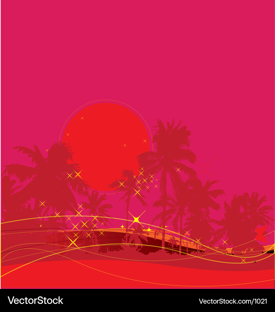 Vibrant Tropical Sunset Vector Image