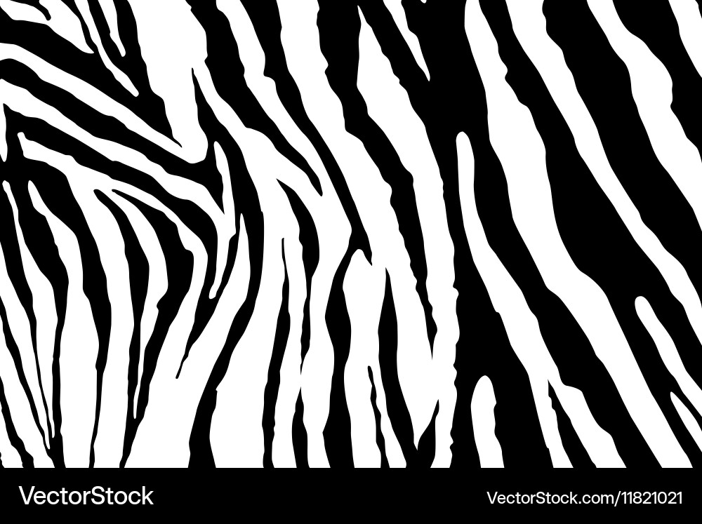 Zebra pattern Vector Image