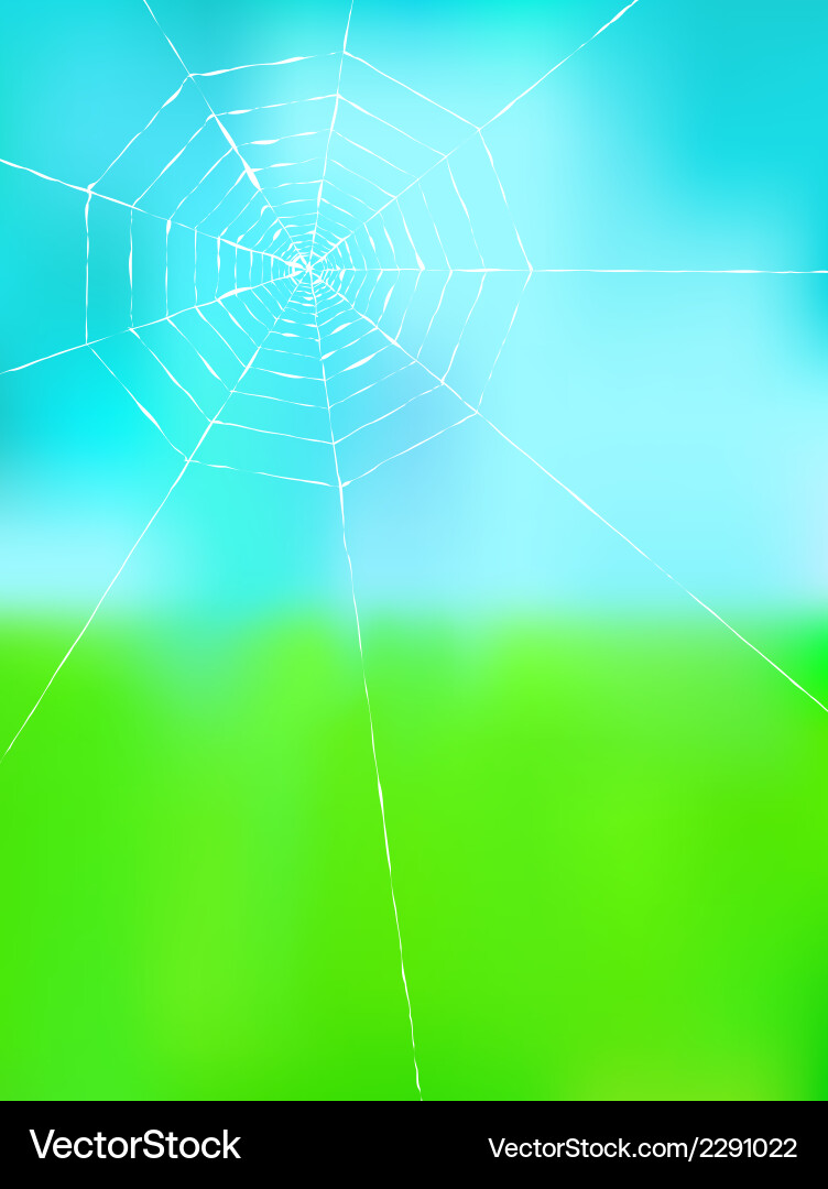 Spider web on color background vector image