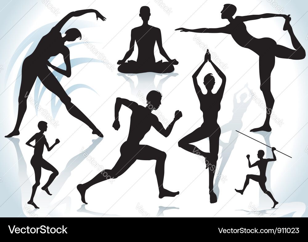 Exercises vector image