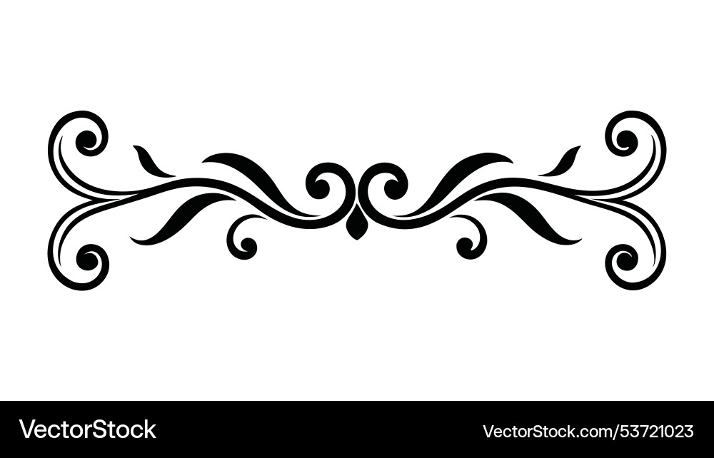 Featuring intricate swirls and flowing patterns Vector Image