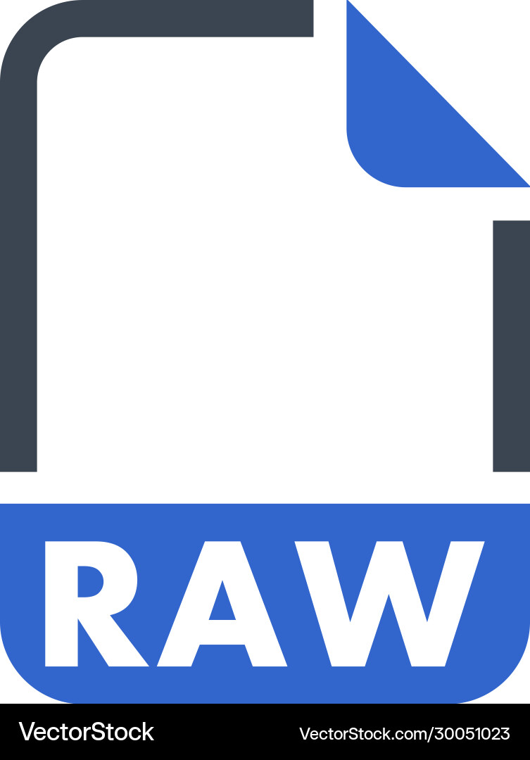Raw file format icon vector image