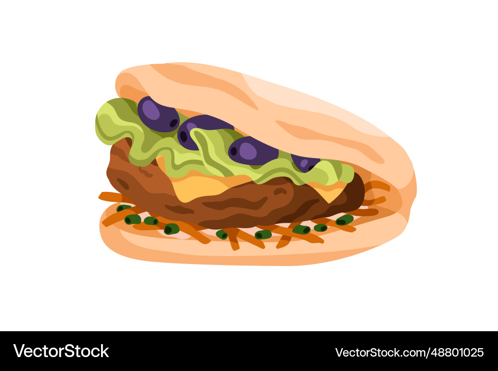 Beef cutlet olives cheese and lettuce in pita Beef cutlet olives cheese and lettuce in pita vector image