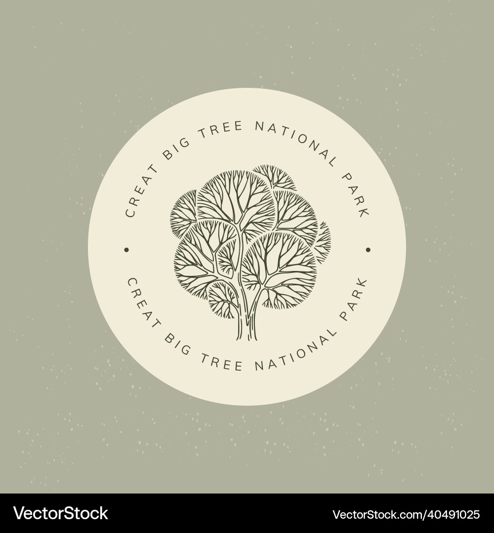 Logo in the form of a drawn linear tree Logo in the form of a drawn linear tree vector image