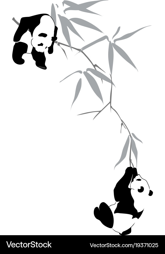 Pandas on Bamboo Vector Image