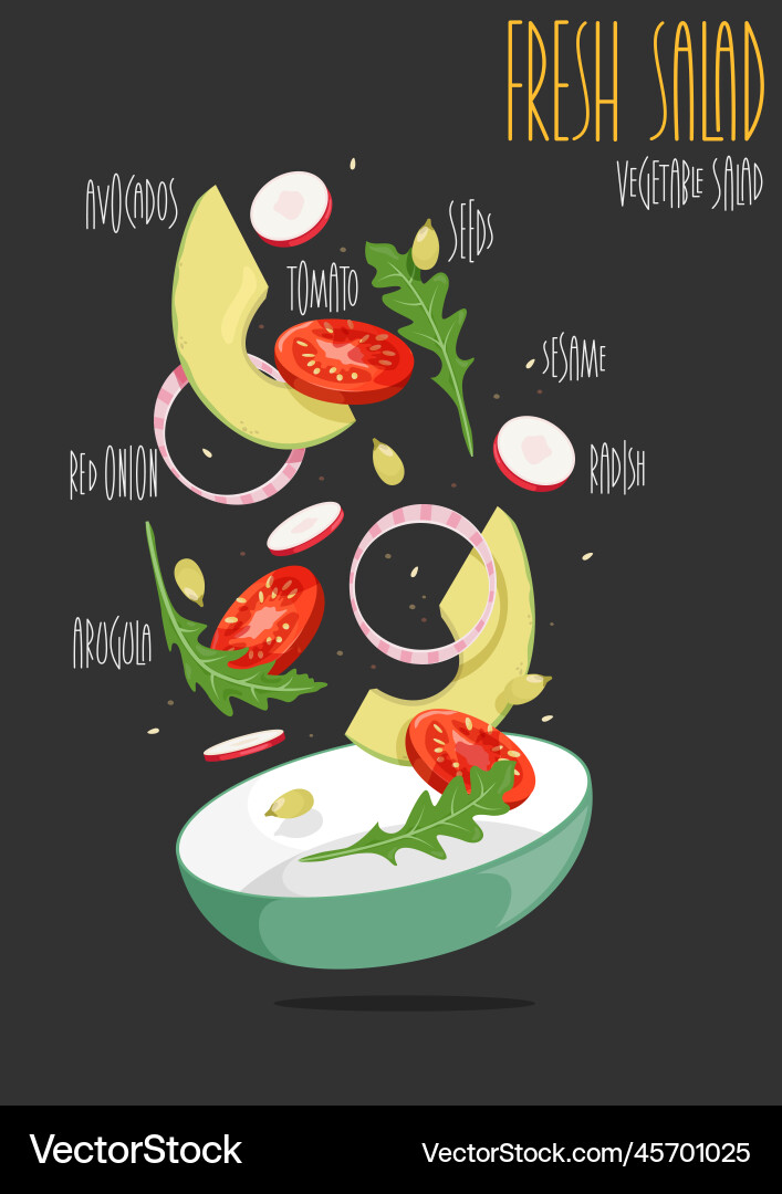 Vegetable salad Royalty Free Vector Image - VectorStock