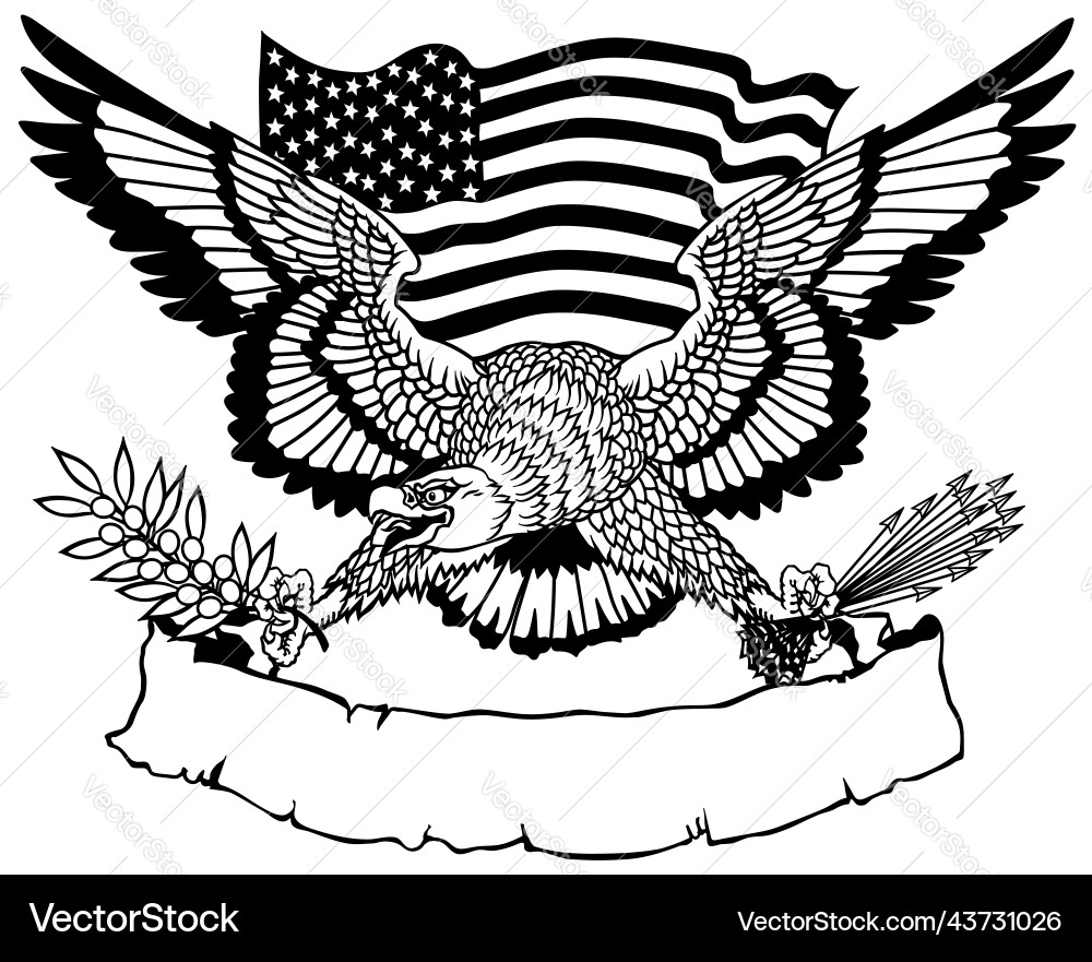 American eagle holding an olive branch and arrows Vector Image