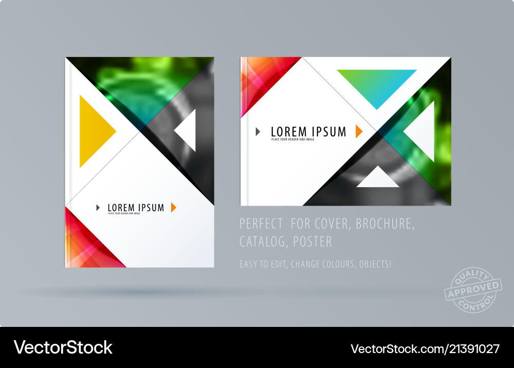 Brochure design triangular template colourful Brochure design triangular template colourful vector image