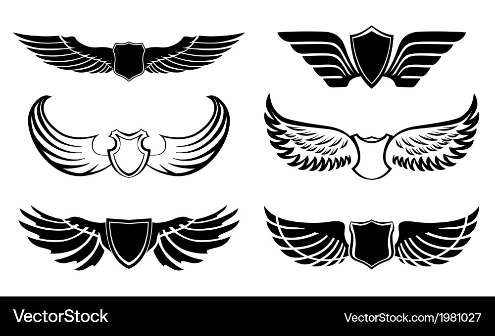 Feather Wing Icons - Abstract Set Vector Image