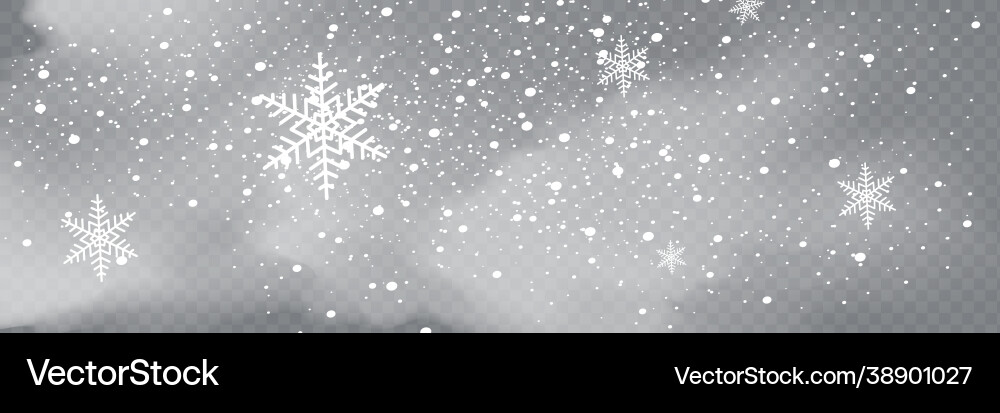 Snowfall snowflakes in different shapes and forms vector image