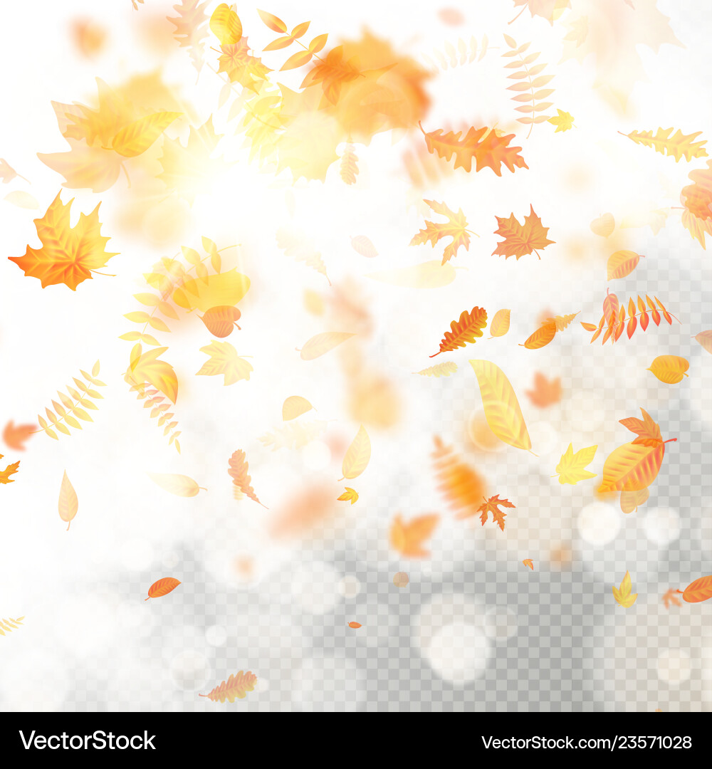 Effect of autumn falling leaves layer with shallow Effect of autumn falling leaves layer with shallow vector image
