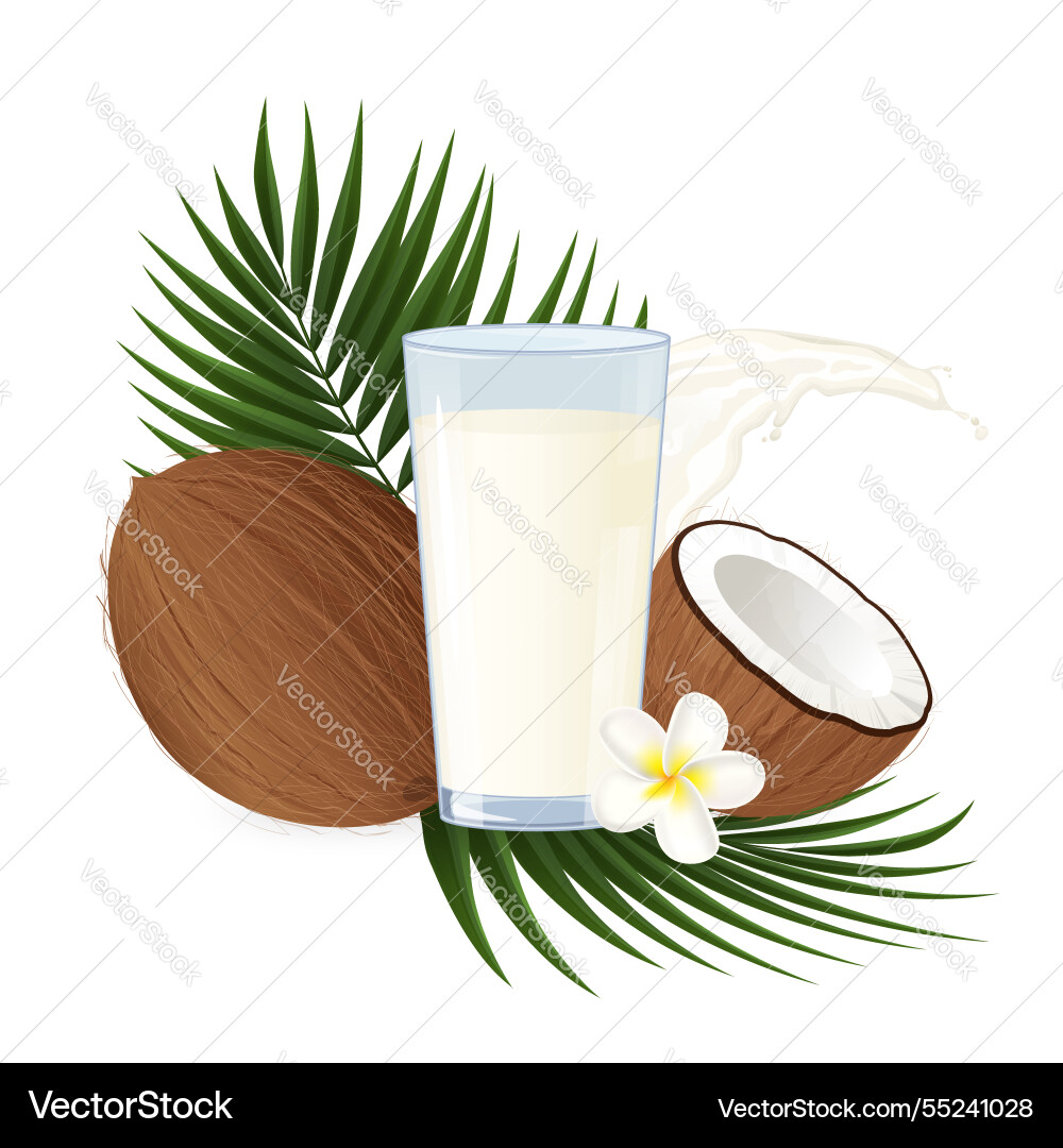 Glass of coconut milk with splashing whole Glass of coconut milk with splashing whole vector image