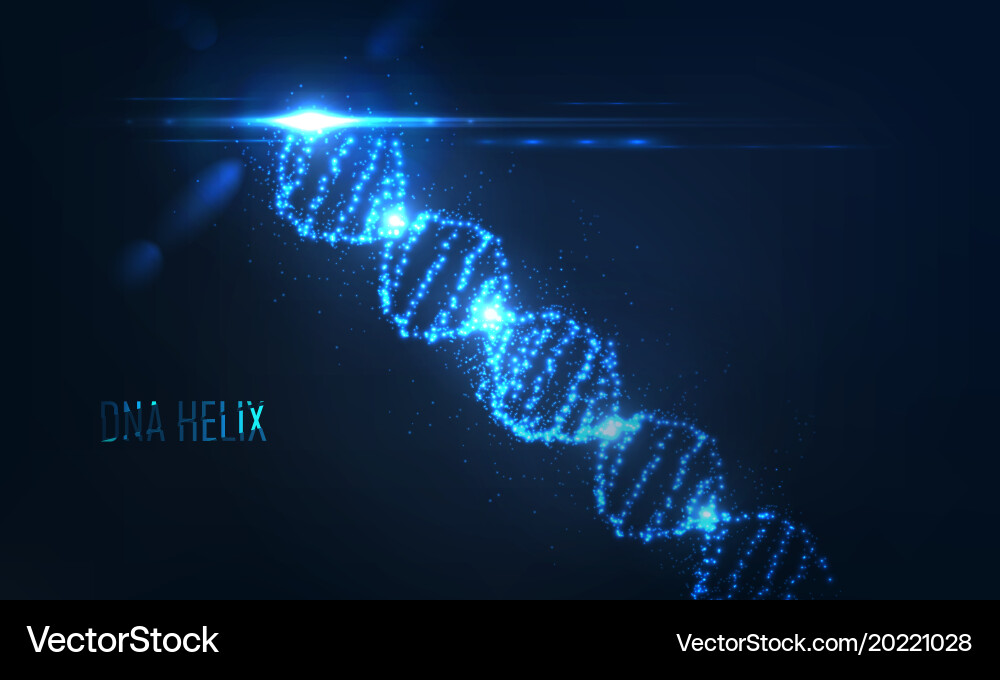 Nenon dna helix consist of glowing particles Vector Image