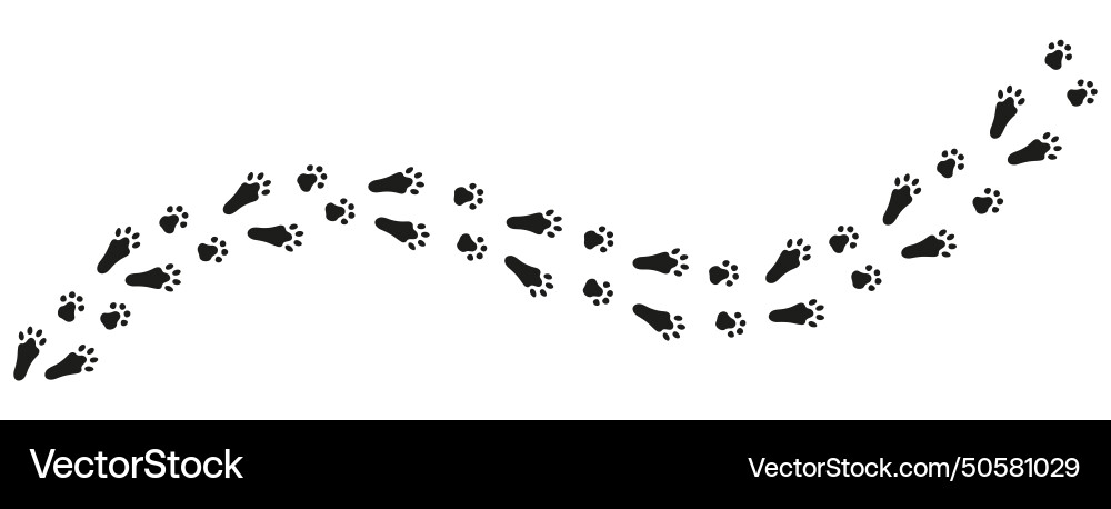 Bunny Footprints Trail vector image