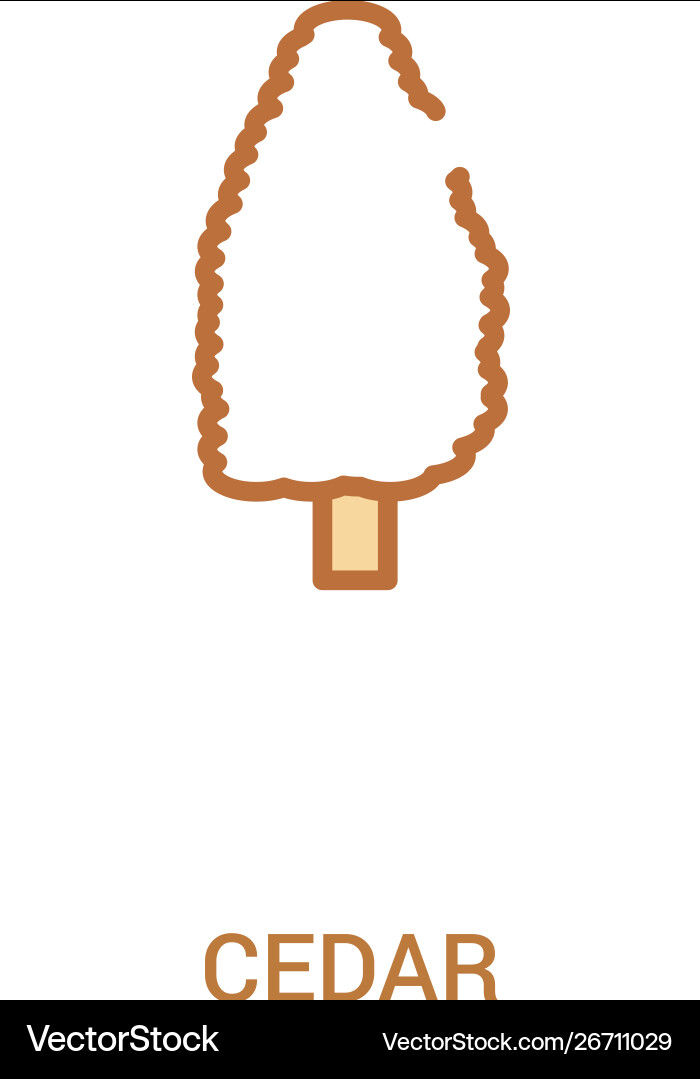 Cedar concept 2 colored icon simple line element Cedar concept 2 colored icon simple line element vector image