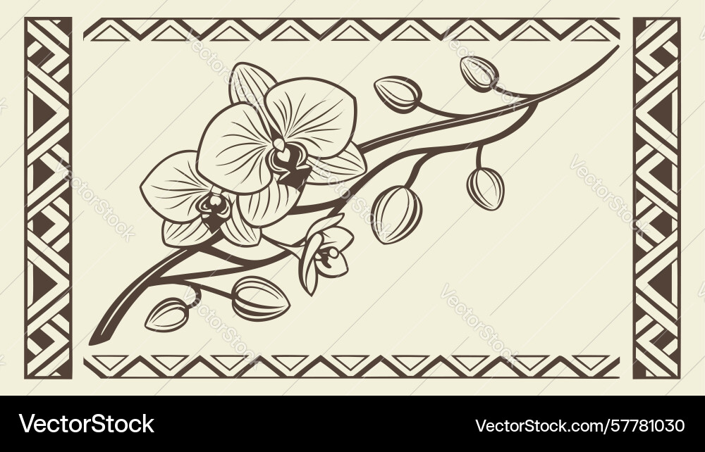 Orchid branch within an ornate rectangular border Vector Image